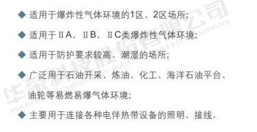 BBR-WDDY系列防爆电伴热指示灯（IIC、tD）2