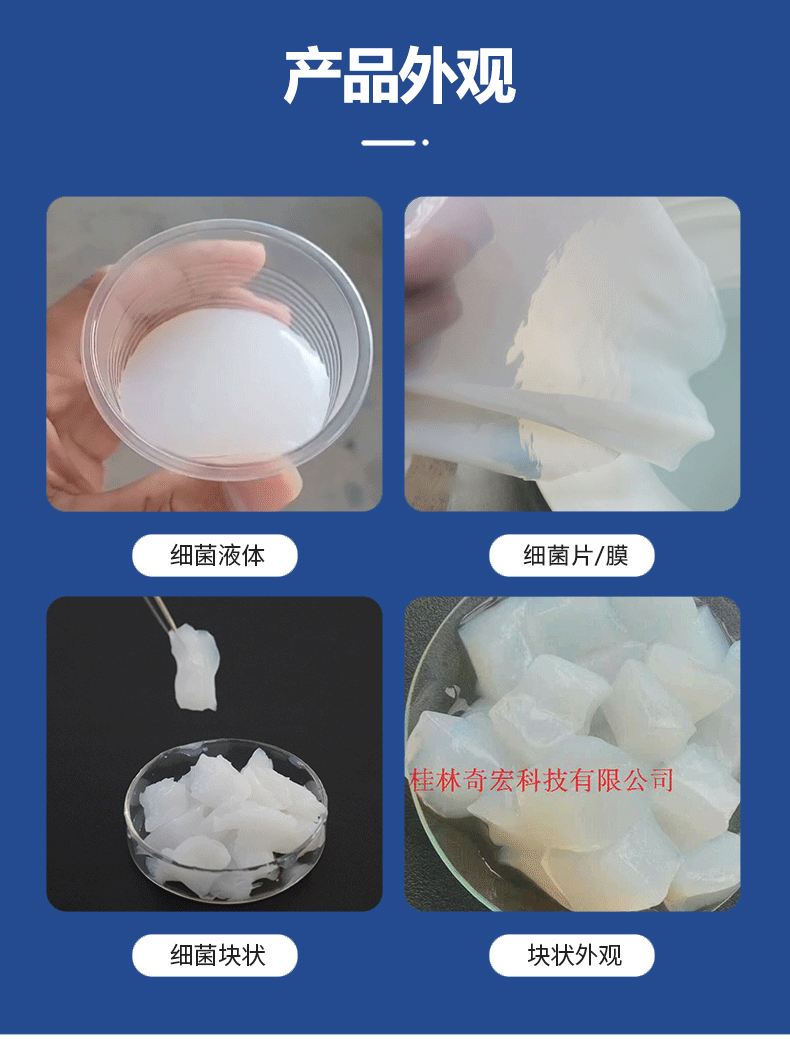 BC详情3
